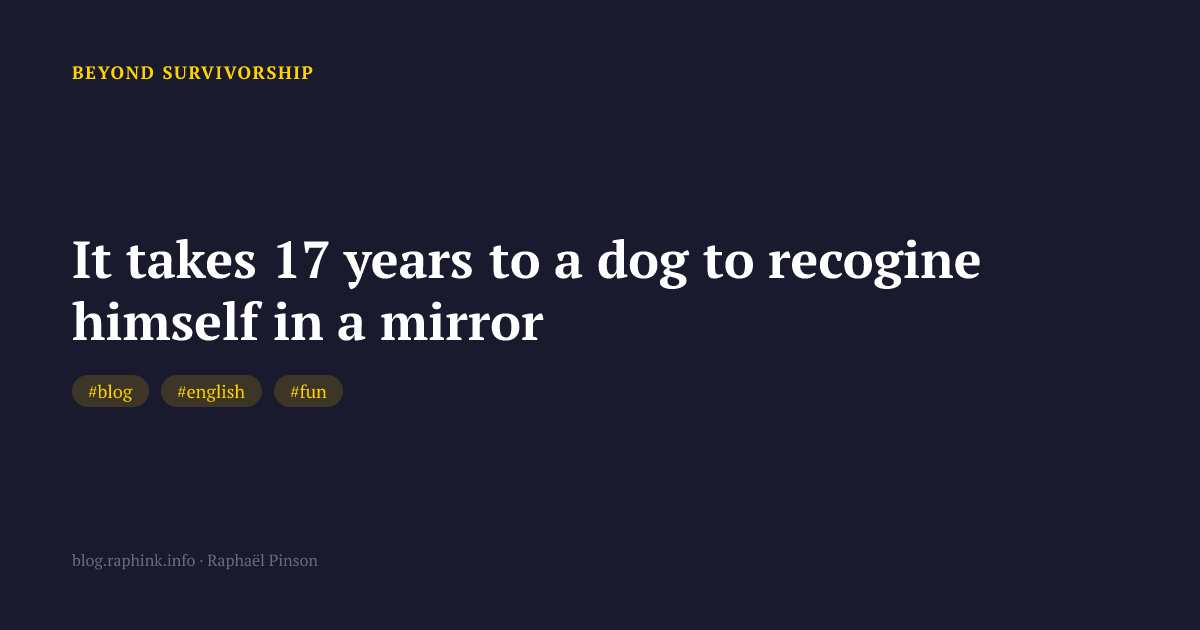 It takes 17 years to a dog to recogine himself in a mirror