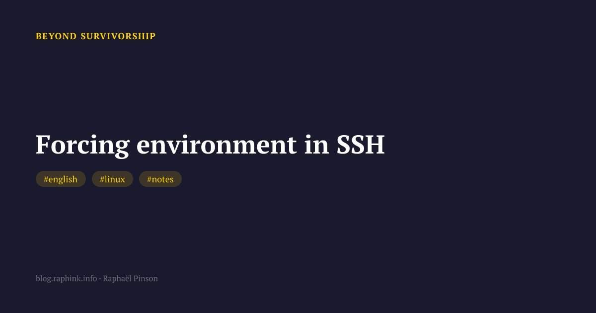Forcing environment in SSH